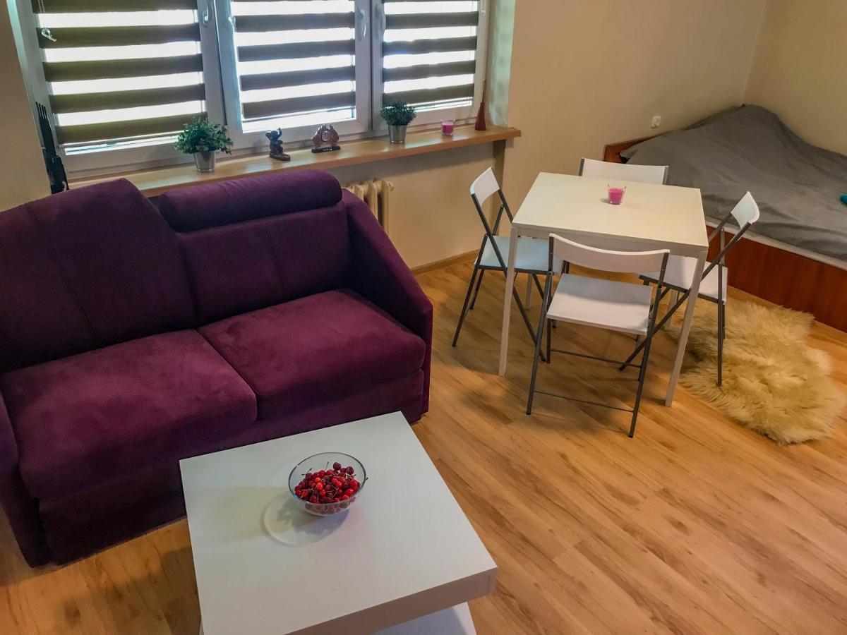 Cosy Studio In Quiet Location Puławy Dış mekan fotoğraf